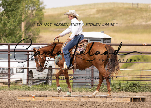 2023 Roosevelt County Fair Horse Show-352