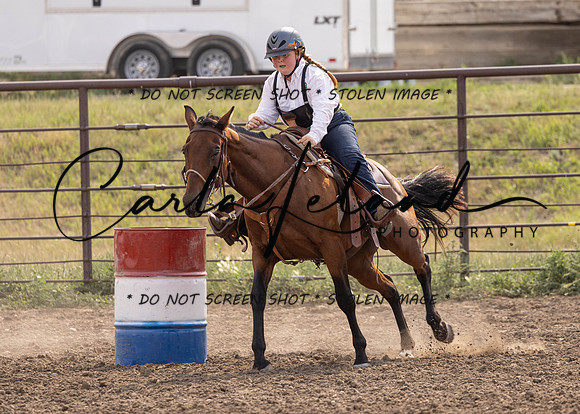 2023 Roosevelt County Fair Horse Show-359