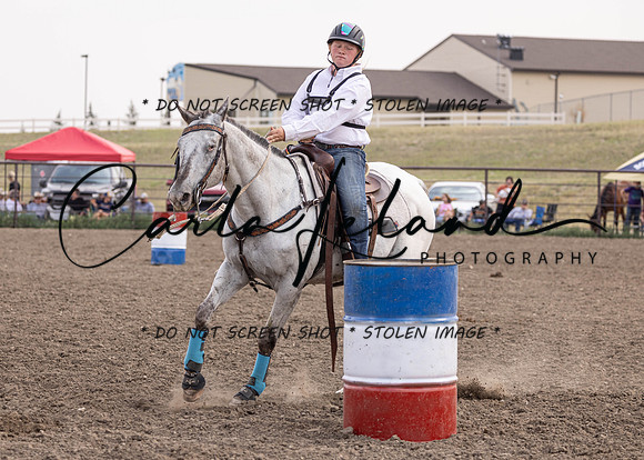 2023 Roosevelt County Fair Horse Show-363