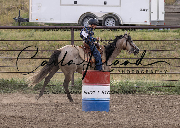 2023 Roosevelt County Fair Horse Show-367