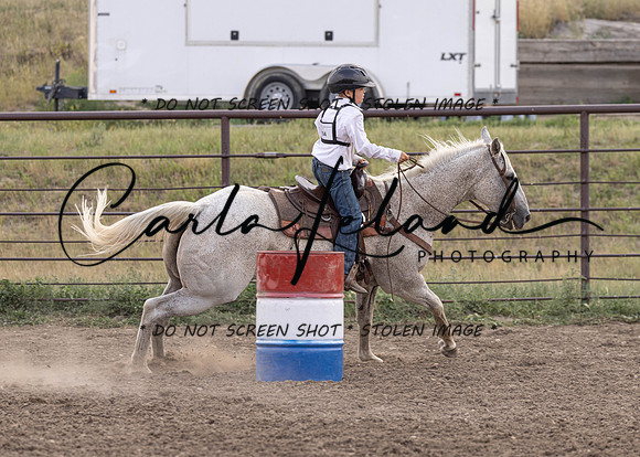 2023 Roosevelt County Fair Horse Show-371