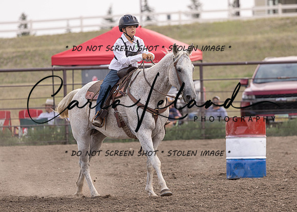 2023 Roosevelt County Fair Horse Show-374