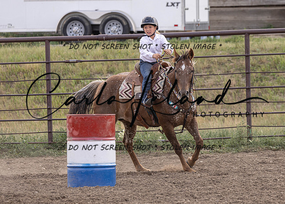 2023 Roosevelt County Fair Horse Show-375