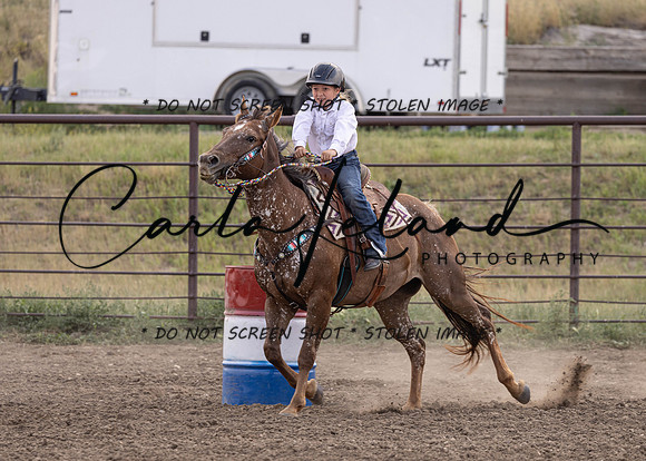 2023 Roosevelt County Fair Horse Show-376