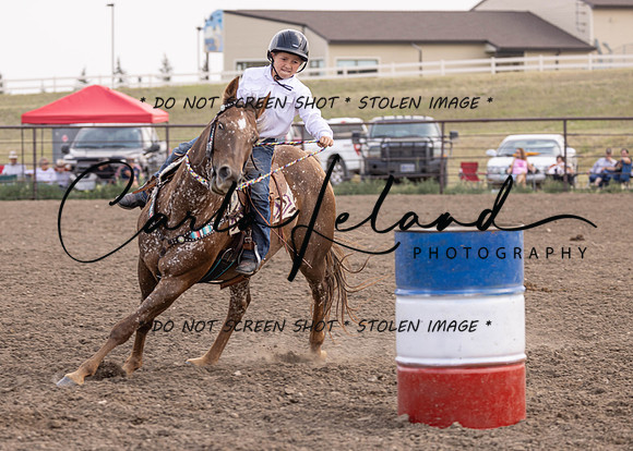 2023 Roosevelt County Fair Horse Show-377