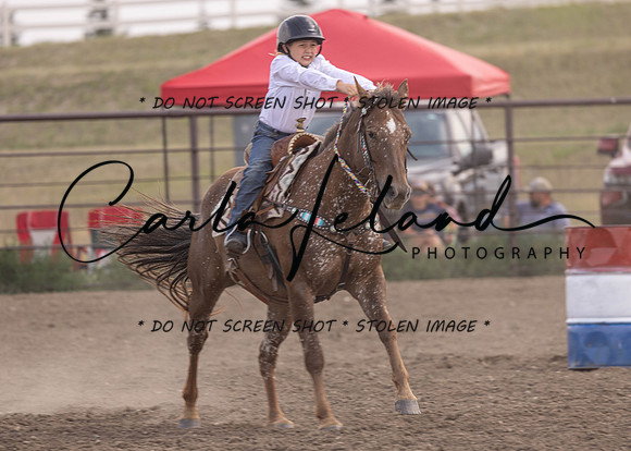 2023 Roosevelt County Fair Horse Show-378
