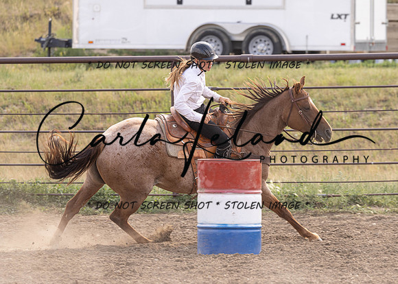 2023 Roosevelt County Fair Horse Show-380