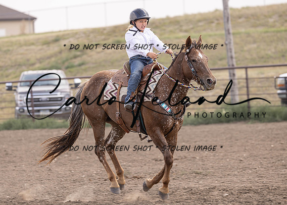 2023 Roosevelt County Fair Horse Show-379