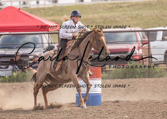 2023 Roosevelt County Fair Horse Show-384