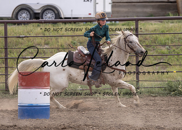 2023 Roosevelt County Fair Horse Show-386