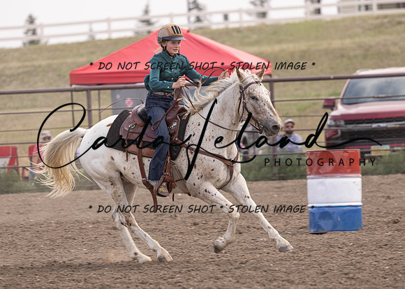 2023 Roosevelt County Fair Horse Show-388