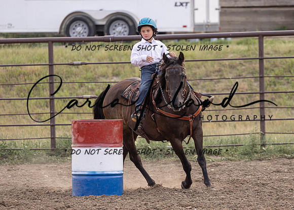 2023 Roosevelt County Fair Horse Show-391