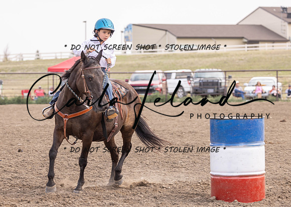2023 Roosevelt County Fair Horse Show-392