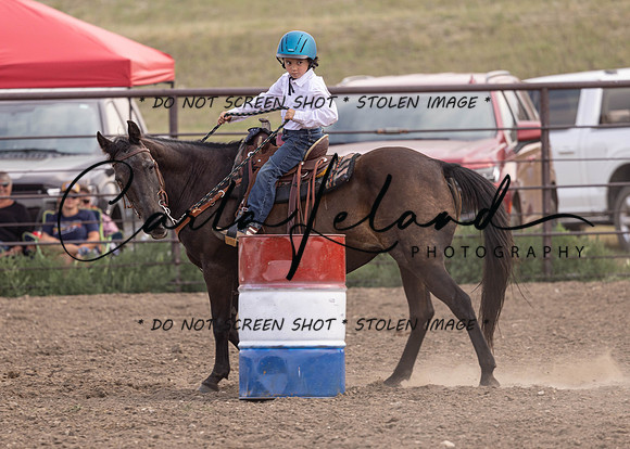 2023 Roosevelt County Fair Horse Show-393