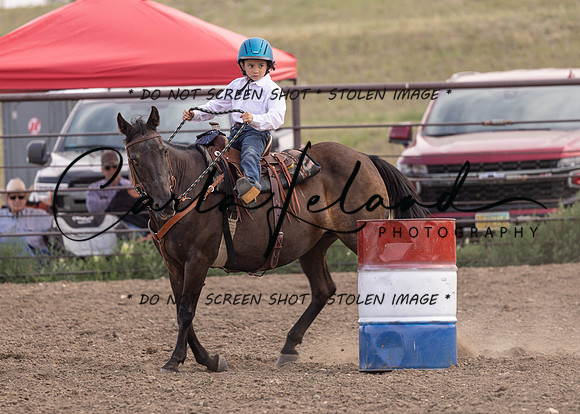 2023 Roosevelt County Fair Horse Show-394