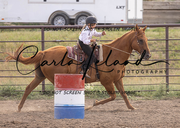 2023 Roosevelt County Fair Horse Show-396