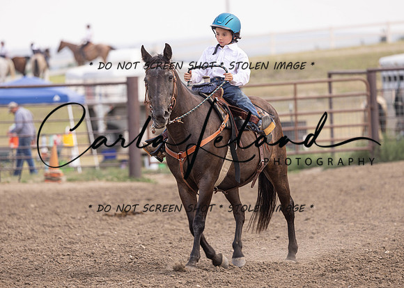 2023 Roosevelt County Fair Horse Show-395