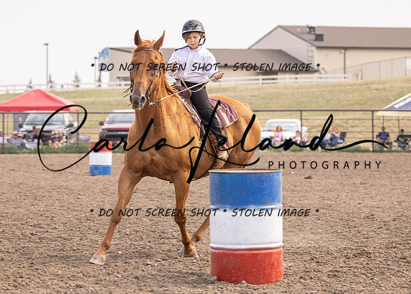 2023 Roosevelt County Fair Horse Show-397