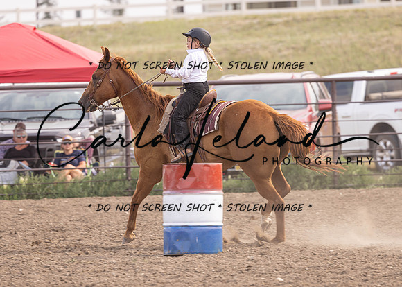 2023 Roosevelt County Fair Horse Show-398