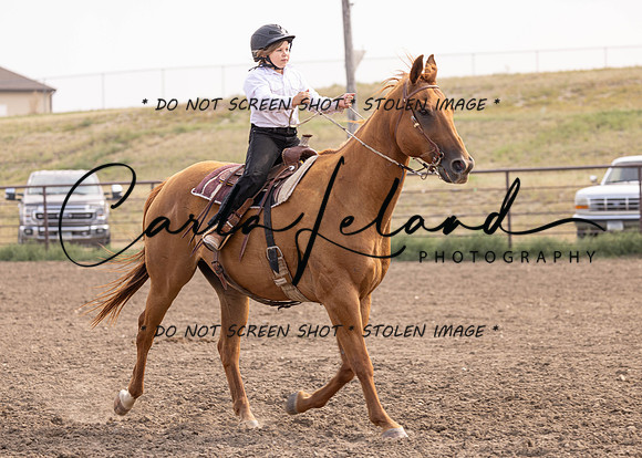 2023 Roosevelt County Fair Horse Show-399