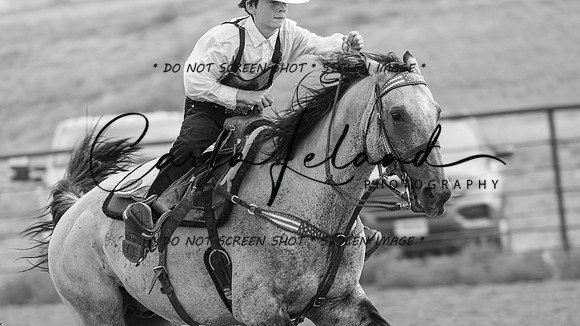 2023 Roosevelt County Fair Horse Show-408