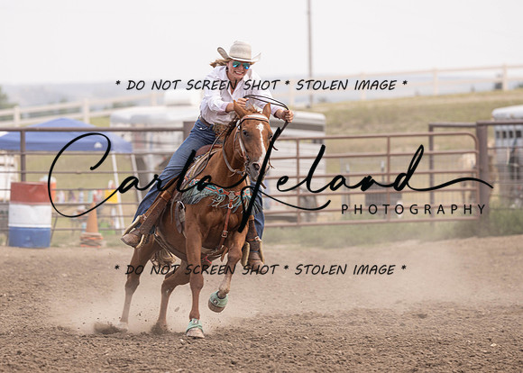 2023 Roosevelt County Fair Horse Show-412