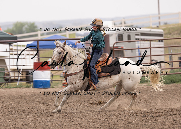 2023 Roosevelt County Fair Horse Show-413