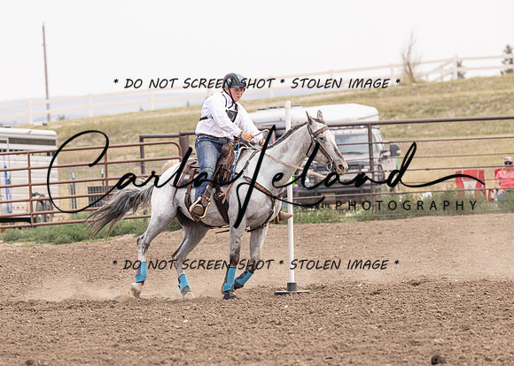 2023 Roosevelt County Fair Horse Show-419