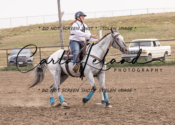 2023 Roosevelt County Fair Horse Show-420