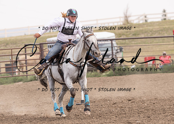 2023 Roosevelt County Fair Horse Show-424