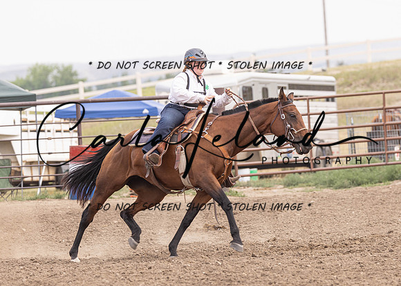 2023 Roosevelt County Fair Horse Show-425