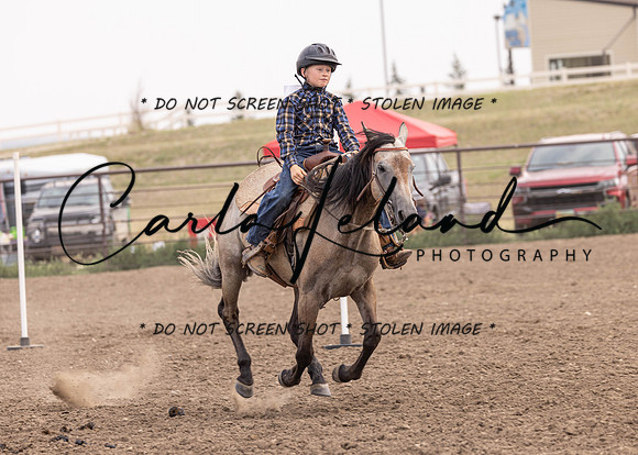 2023 Roosevelt County Fair Horse Show-433