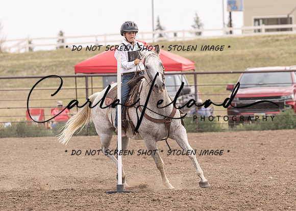 2023 Roosevelt County Fair Horse Show-435