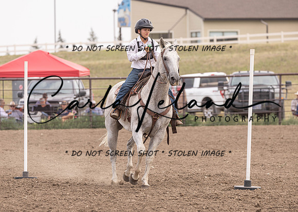 2023 Roosevelt County Fair Horse Show-436