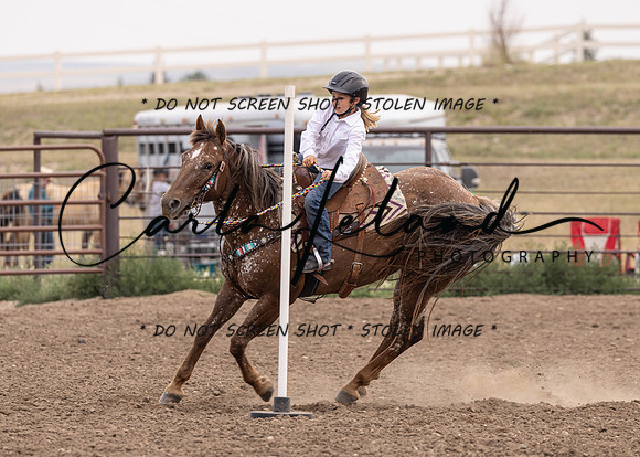 2023 Roosevelt County Fair Horse Show-439