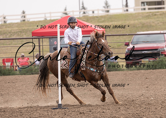 2023 Roosevelt County Fair Horse Show-441