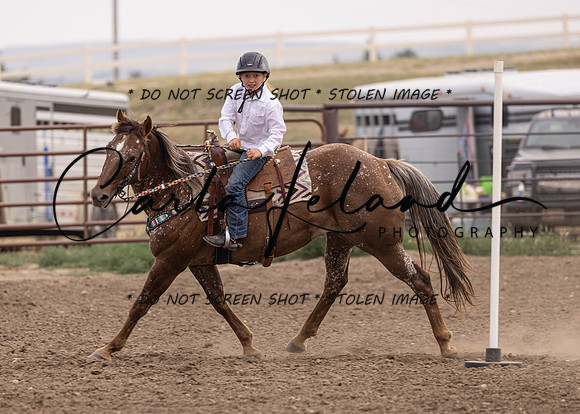 2023 Roosevelt County Fair Horse Show-442