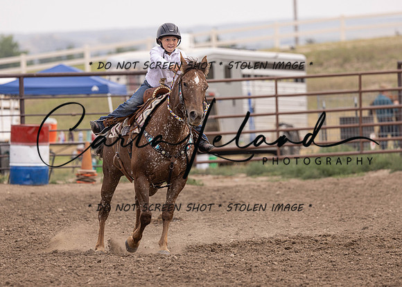 2023 Roosevelt County Fair Horse Show-443