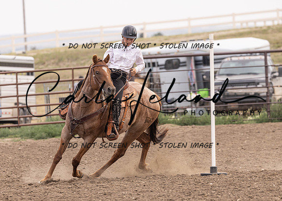 2023 Roosevelt County Fair Horse Show-445
