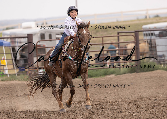 2023 Roosevelt County Fair Horse Show-444