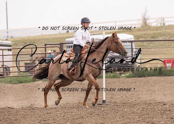 2023 Roosevelt County Fair Horse Show-446