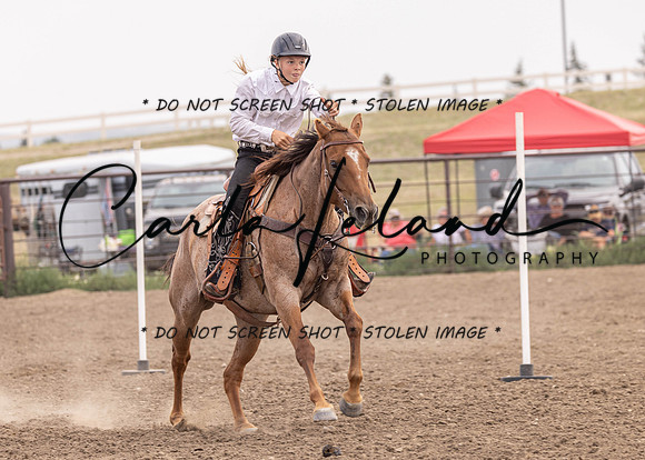 2023 Roosevelt County Fair Horse Show-449