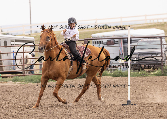 2023 Roosevelt County Fair Horse Show-457