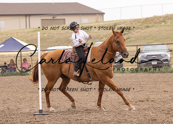 2023 Roosevelt County Fair Horse Show-458