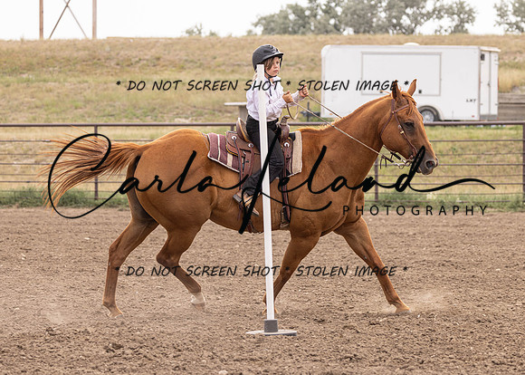 2023 Roosevelt County Fair Horse Show-459