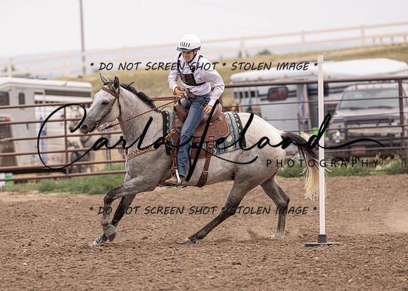2023 Roosevelt County Fair Horse Show-463
