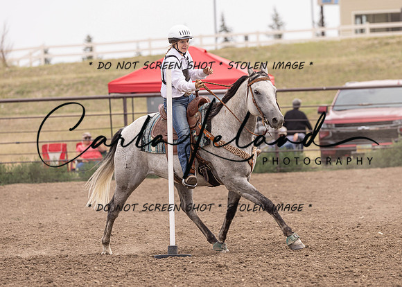 2023 Roosevelt County Fair Horse Show-464