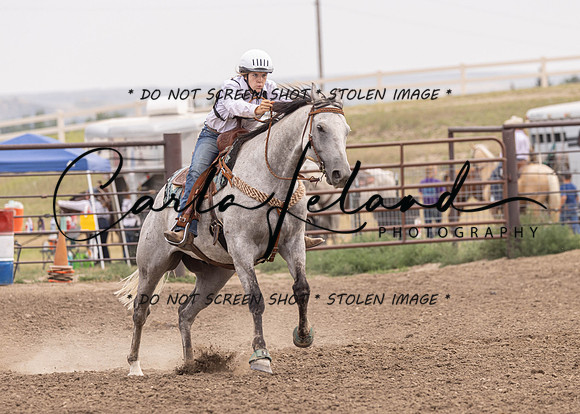 2023 Roosevelt County Fair Horse Show-465