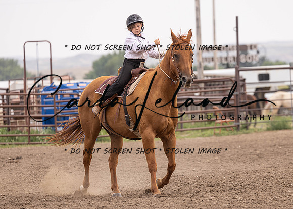 2023 Roosevelt County Fair Horse Show-462