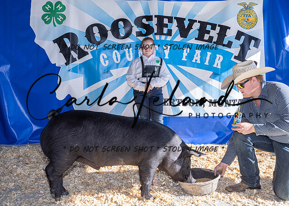 2023 Roosevelt County Fair Swine Show-1599
